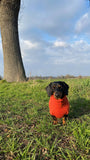 Personalised Pure Cashmere Dog Roll Neck Jumper