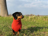 Personalised Pure Cashmere Dog Roll Neck Jumper
