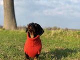 Personalised Pure Cashmere Dog Roll Neck Jumper