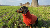 Personalised Pure Cashmere Dog Roll Neck Jumper