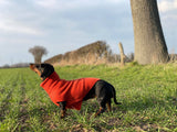 Personalised Pure Cashmere Dog Roll Neck Jumper