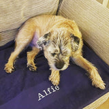 Personalised Pet Towel