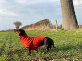 Personalised Pure Cashmere Dog Jumper